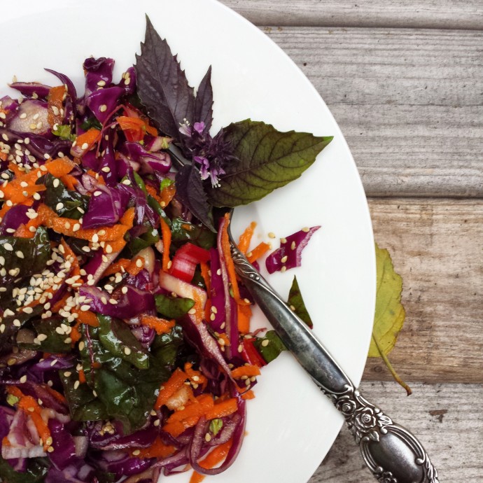 Asian-Inspired Cabbage and Swiss Chard Salad